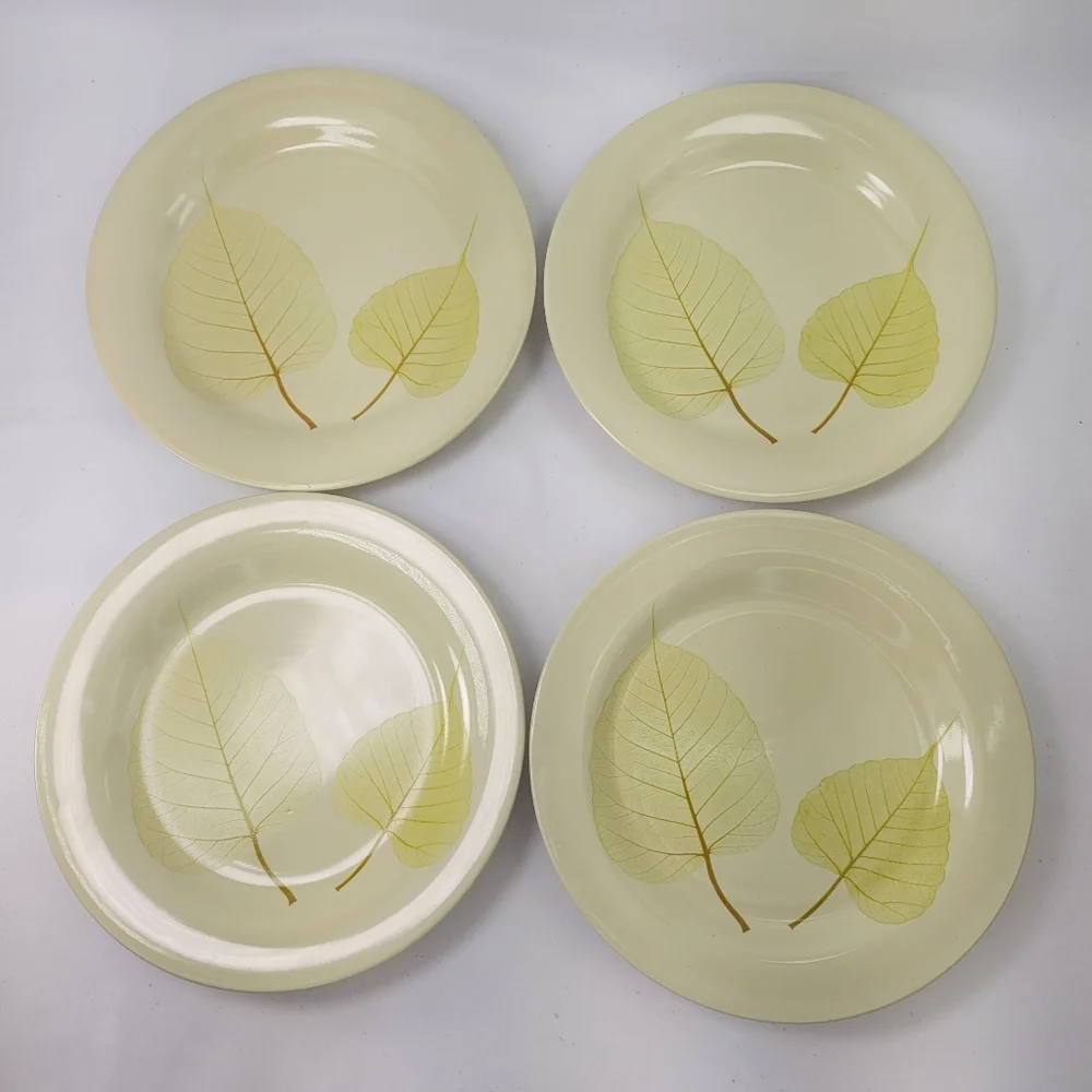 Pier 1 Aspen Stoneware Salad Dessert Plates Set of 4